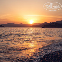 фото из отзыва ID 2045367