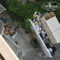 фото из отзыва ID 2045408