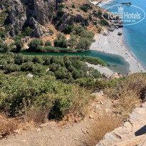 фото из отзыва ID 2045423