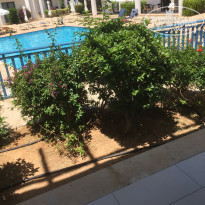 фото из отзыва ID 2045637