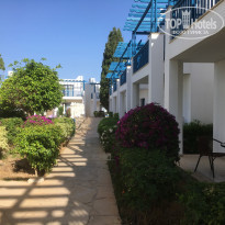 фото из отзыва ID 2045637