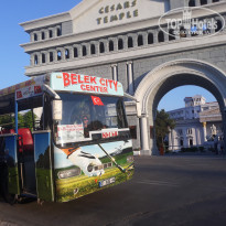 фото из отзыва ID 2045657