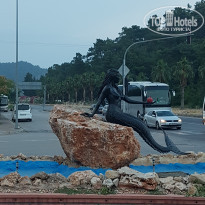 фото из отзыва ID 2045793