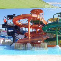 фото из отзыва ID 2045810