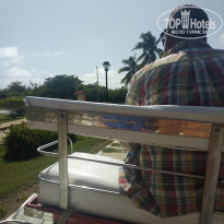 фото из отзыва ID 2045865