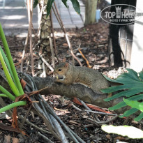 фото из отзыва ID 2045993