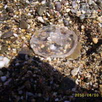 фото из отзыва ID 2046084