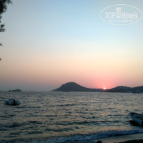 фото из отзыва ID 2046061