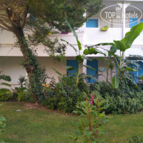 фото из отзыва ID 2046083