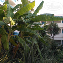 фото из отзыва ID 2046083