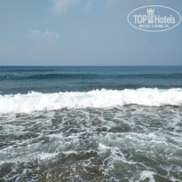 фото из отзыва ID 2046106