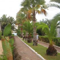 фото из отзыва ID 2046067