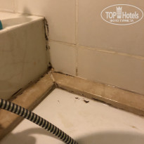 фото из отзыва ID 2046135