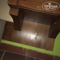 фото из отзыва ID 2046135