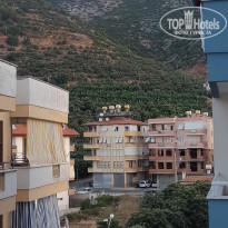 фото из отзыва ID 2046143