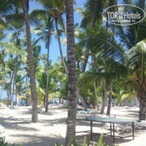 фото из отзыва ID 2046145