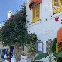 фото из отзыва ID 2046297