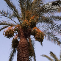 фото из отзыва ID 2046273