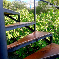 фото из отзыва ID 2046320