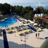 фото из отзыва ID 2046328