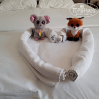 фото из отзыва ID 2046328