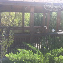 фото из отзыва ID 2046330