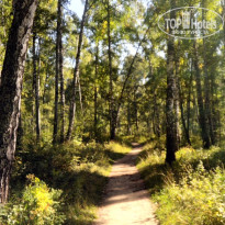 фото из отзыва ID 2045654