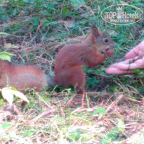 фото из отзыва ID 2045654