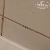 фото из отзыва ID 2046147