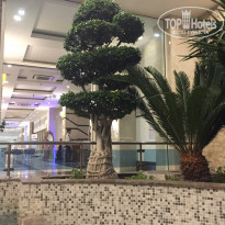 фото из отзыва ID 2046397