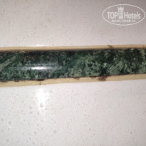 фото из отзыва ID 2046147