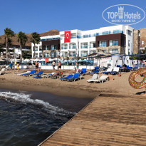 фото из отзыва ID 2046395