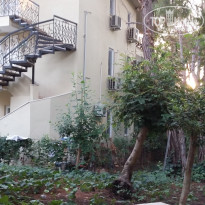 фото из отзыва ID 2046417