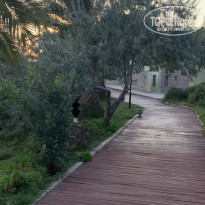 фото из отзыва ID 2046466