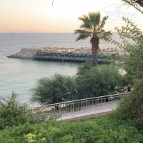 фото из отзыва ID 2046466