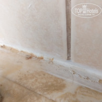 фото из отзыва ID 2046514