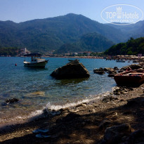 фото из отзыва ID 2046571