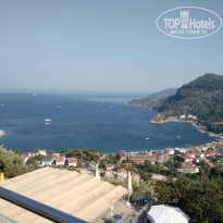 фото из отзыва ID 2046571