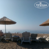 фото из отзыва ID 2046685