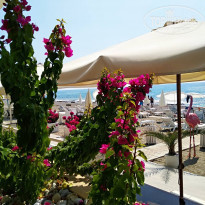 фото из отзыва ID 2046803