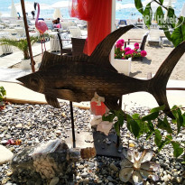 фото из отзыва ID 2046803