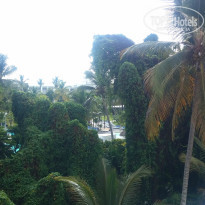 фото из отзыва ID 2046145