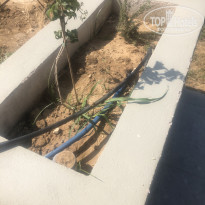 фото из отзыва ID 2046906