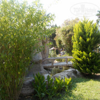 фото из отзыва ID 2046904