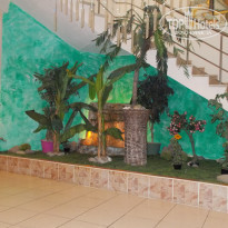 фото из отзыва ID 2046904