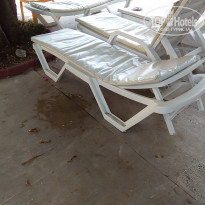 фото из отзыва ID 2046882