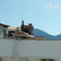 фото из отзыва ID 2046882