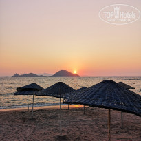 фото из отзыва ID 2047031