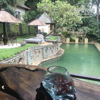 фото из отзыва ID 2047115