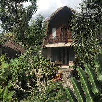 фото из отзыва ID 2047115